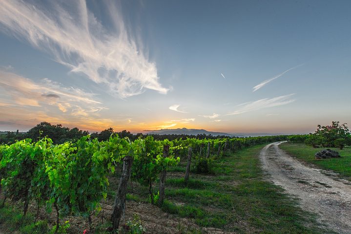 South Africa’s top 10 most scenic wine estates